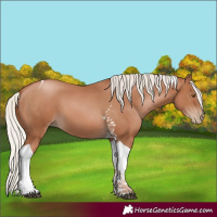 Horse Color:Silver Black Pearl Tobiano 