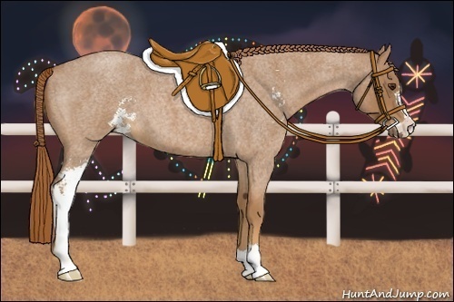 Horse Color:Red Roan Sabino