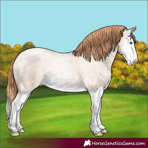 Horse Color:Amber Champagne Roan Pearl Splash 
