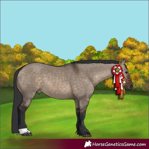 Horse Color:Brown Dun 
