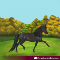 Horse Color:Brown 