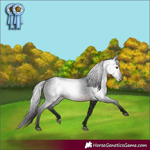 Horse Color:Gray Brown 