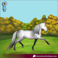 Horse Color:Gray Brown 