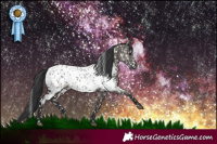 Horse Color:Grullo Near Leopard 