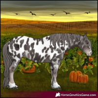 Horse Color:Platinum Liver Chestnut Near Leopard