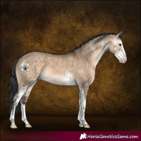 Horse Color:Brown Dun Sabino 