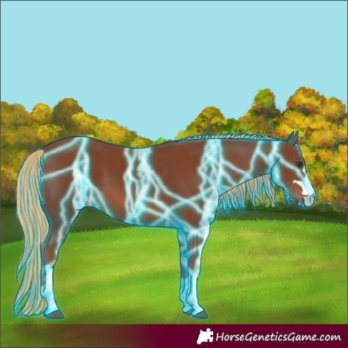 Horse Color:Thunderstruck Chestnut