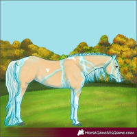 Horse Color:Thunderstruck Palomino Tobiano Rabicano 