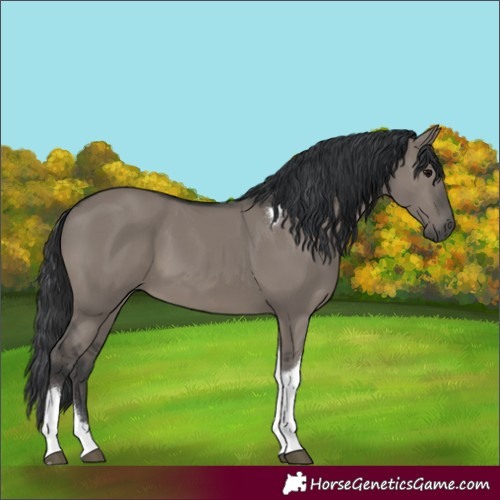 Horse Color:Grullo Tobiano