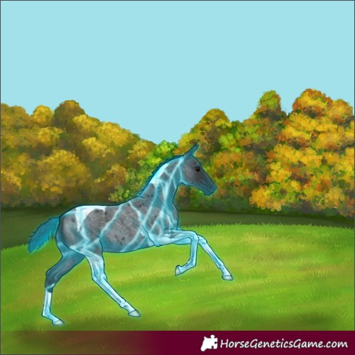 Horse Color:Thunderstruck Blue Roan Tobiano 