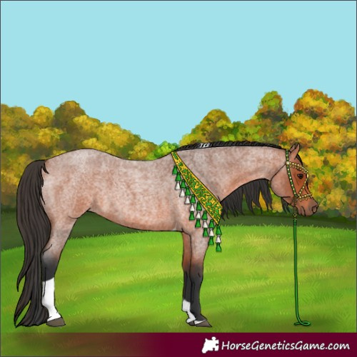 Horse Color:Bay Roan Tobiano