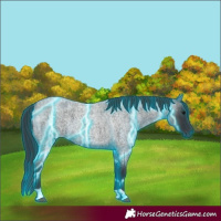 Horse Color:Thunderstruck Blue Roan