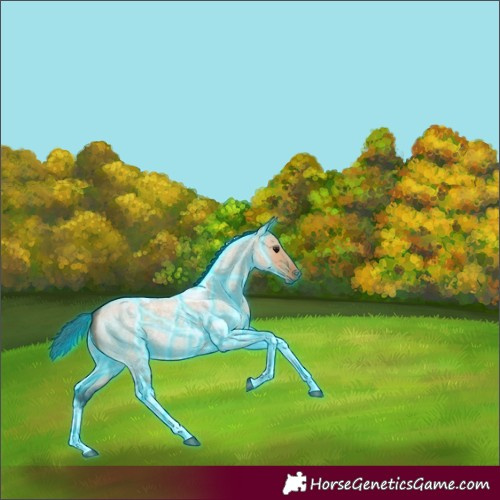 Horse Color:Thunderstruck Bay Roan Dun Tobiano 