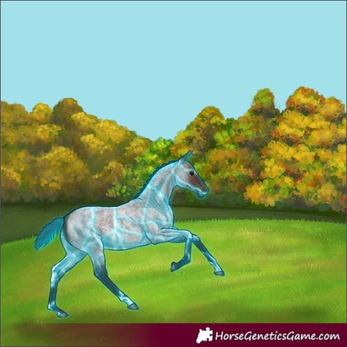 Horse Color:Thunderstruck Brown Roan 