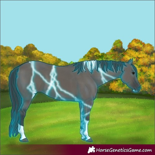 Horse Color:Thunderstruck Grullo Tobiano 