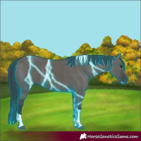 Horse Color:Thunderstruck Grullo Tobiano 