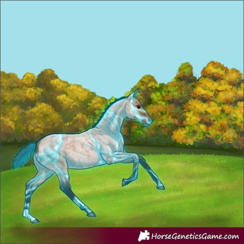 Horse Color:Thunderstruck Bay Roan