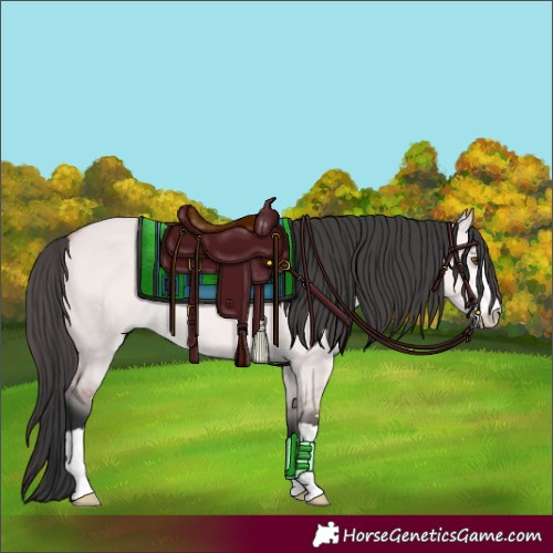 Horse Color:Platinum Bay Dun