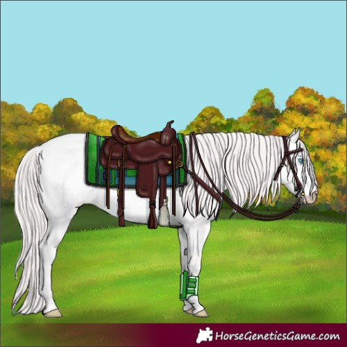 Horse Color:Platinum Perlino Roan Dun 