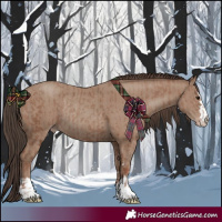 Horse Color:Classic Champagne Rabicano and Classic Champagne Rabicano