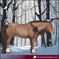 Horse Color:Classic Champagne Rabicano  and Classic Champagne Rabicano 