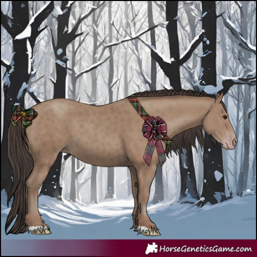 Horse Color:Classic Champagne 