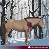 Horse Color:Classic Champagne 