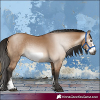 Horse Color:Gray Bay Dun Sabino Frame 