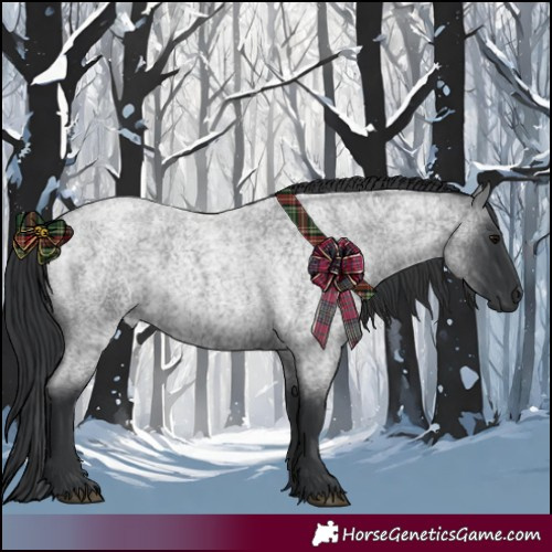 Horse Color:Blue Roan 