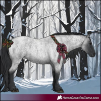 Horse Color:Blue Roan 