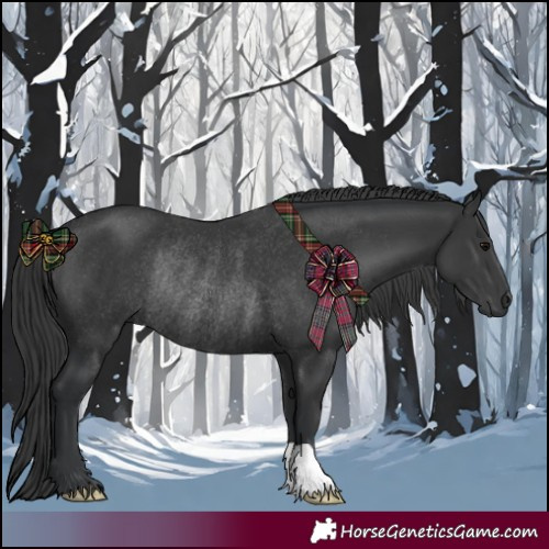 Horse Color:Black Rabicano 