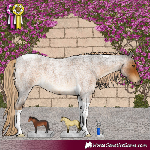 Horse Color:Chocolate Palomino Roan Tobiano 