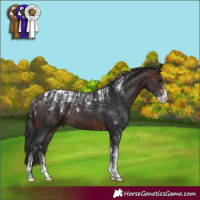 Horse Color:Powder White Black and Powder White Brown
