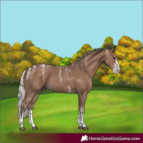 Horse Color:Powder White Silver Black Sabino 