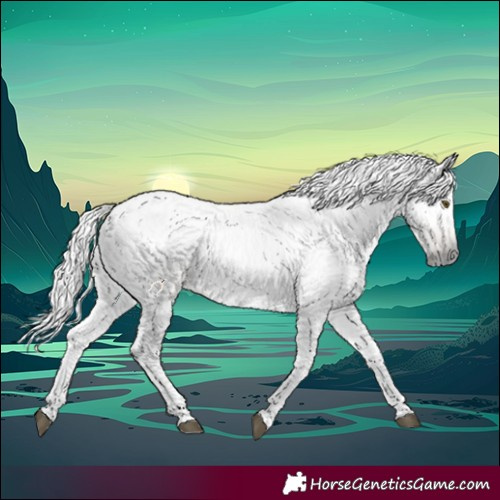 Horse Color:Gray Silver Buckskin Dun Tobiano 