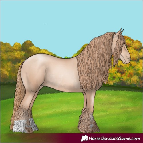 Horse Color:Gold Champagne Pearl Rabicano  and Gold Champagne Pearl Rabicano 