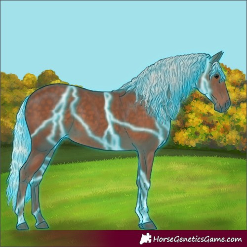 Horse Color:Thunderstruck Silver Black 