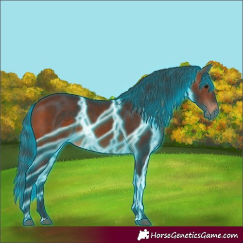 Horse Color:Thunderstruck Bay 