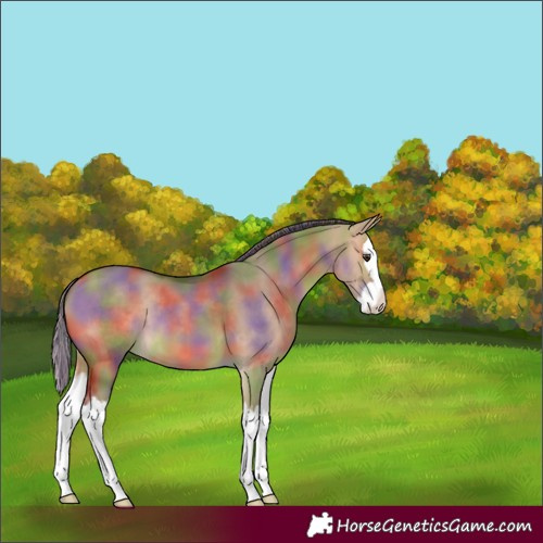 Horse Color:Nacre Bay Dun Splash 