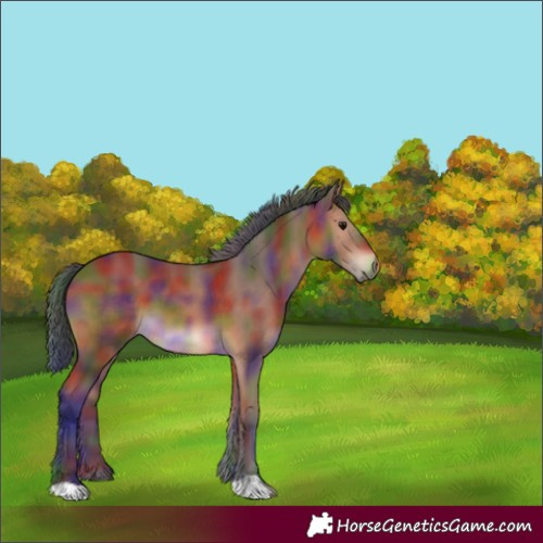Horse Color:Nacre Bay 