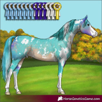 Horse Color:Watercolor White Spotted Buckskin 