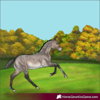 Horse Color:Brown Roan Dun Mushroom Sabino Brindle
