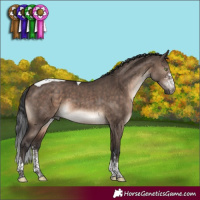 Horse Color:Brown Dun Mushroom Sabino Tobiano Brindle