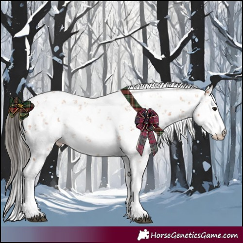 Horse Color:Bay Sabino 