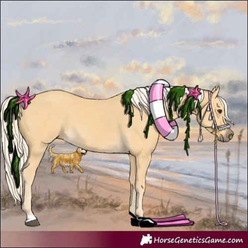 Horse Color:Palomino 