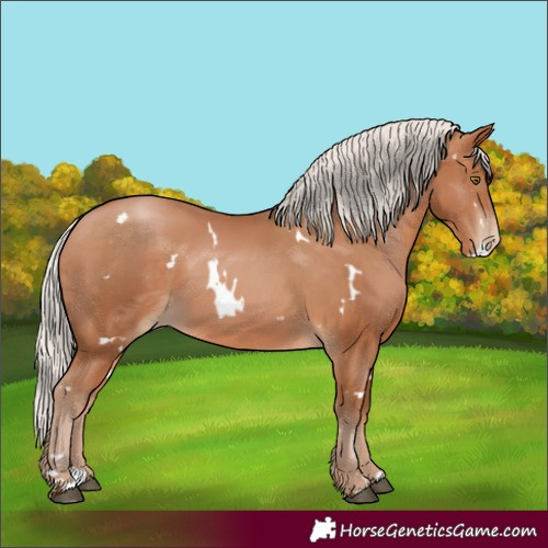Horse Color:White Spotted Silver Brown Pearl 