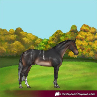 Horse Color:Powder White Brown Tobiano Rabicano