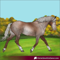 Horse Color:Gray Silver Black Pearl Tobiano 