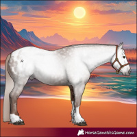 Horse Color:Gray Chestnut Tobiano Appaloosa 