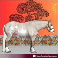 Horse Color:Silver Smoky Grullo Roan Frame 